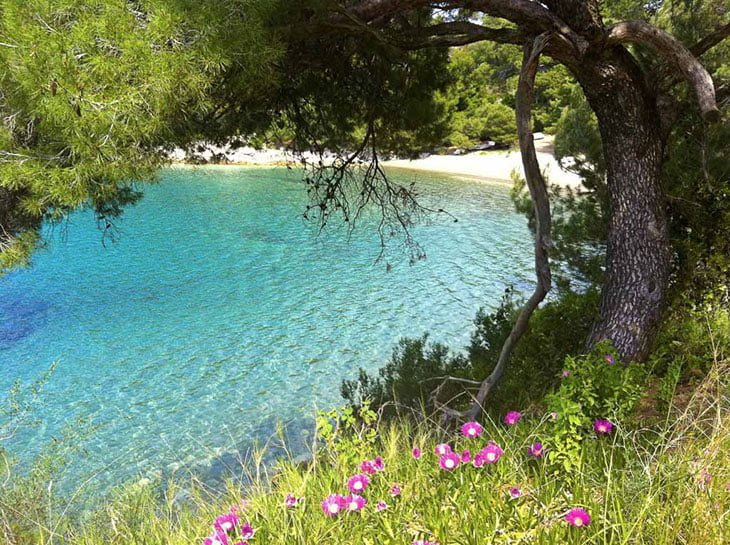 Mljet National Park Croatia