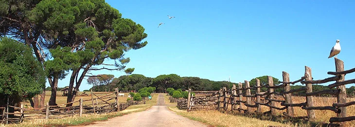 Brijuni Autumn - Croatian island