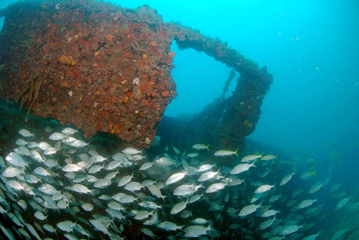 Brijuni Ship Wreck - Underwater