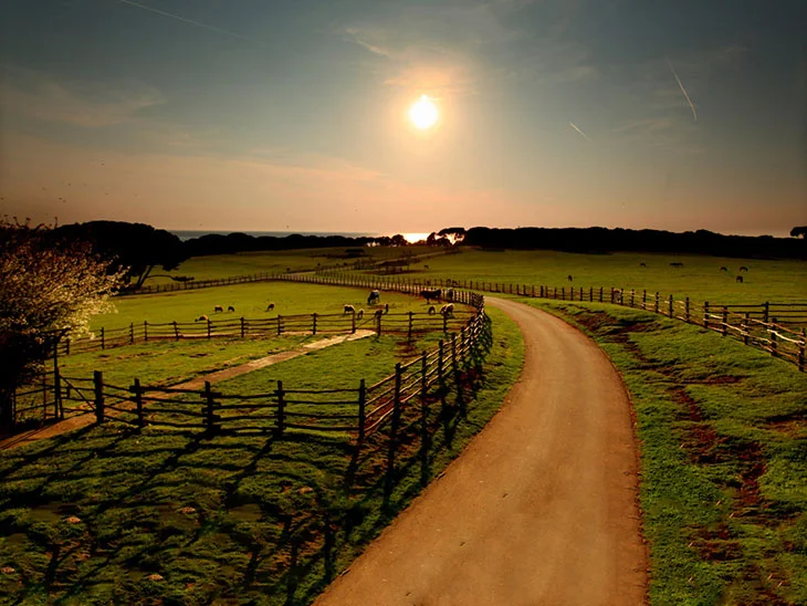 Brijuni National park