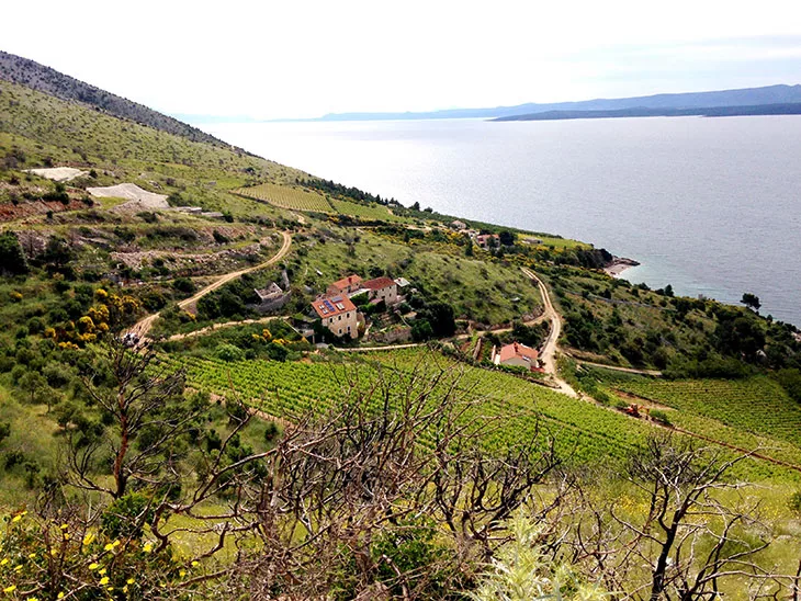 Maountain Binking on Brac Island