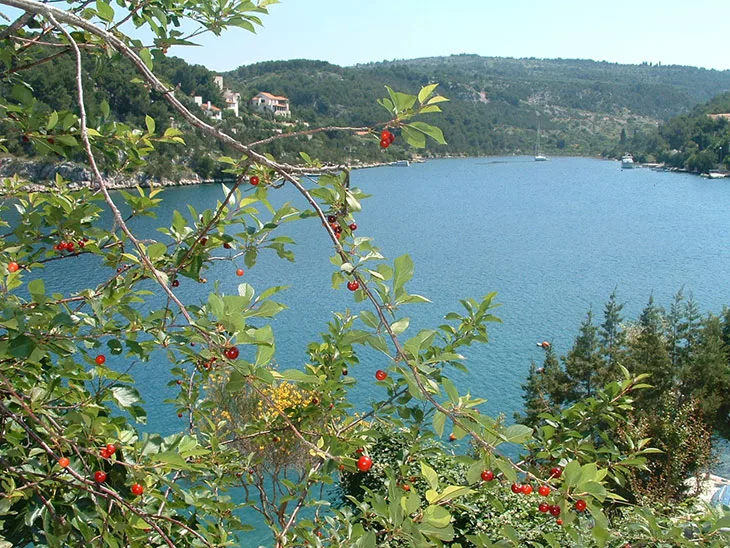 Bobovišća on island of the Brač, Croatia