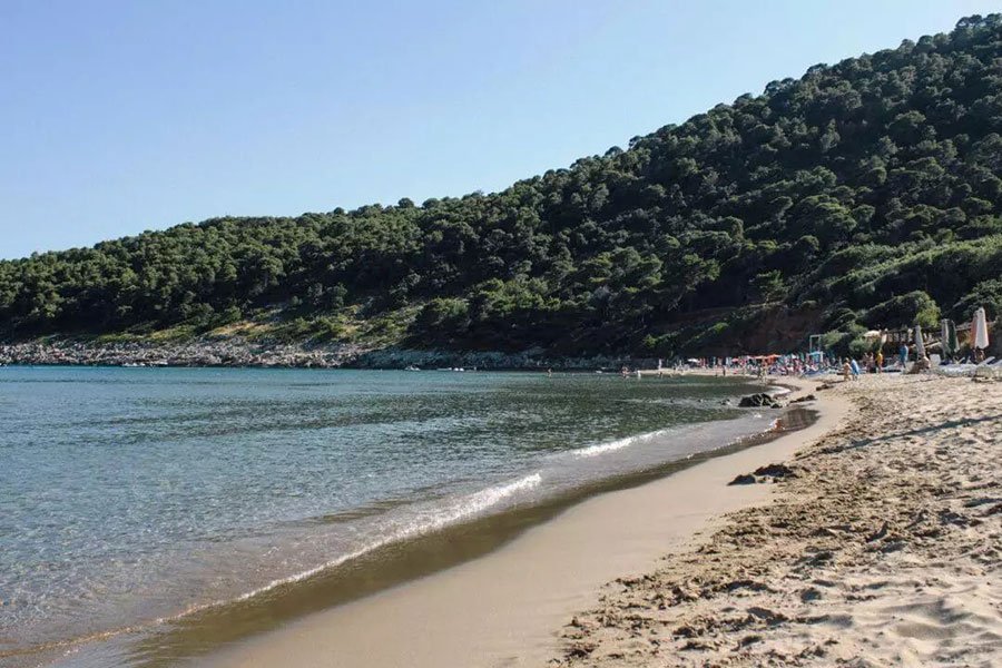 Šunj Beach: Sandy beach on Lopud island